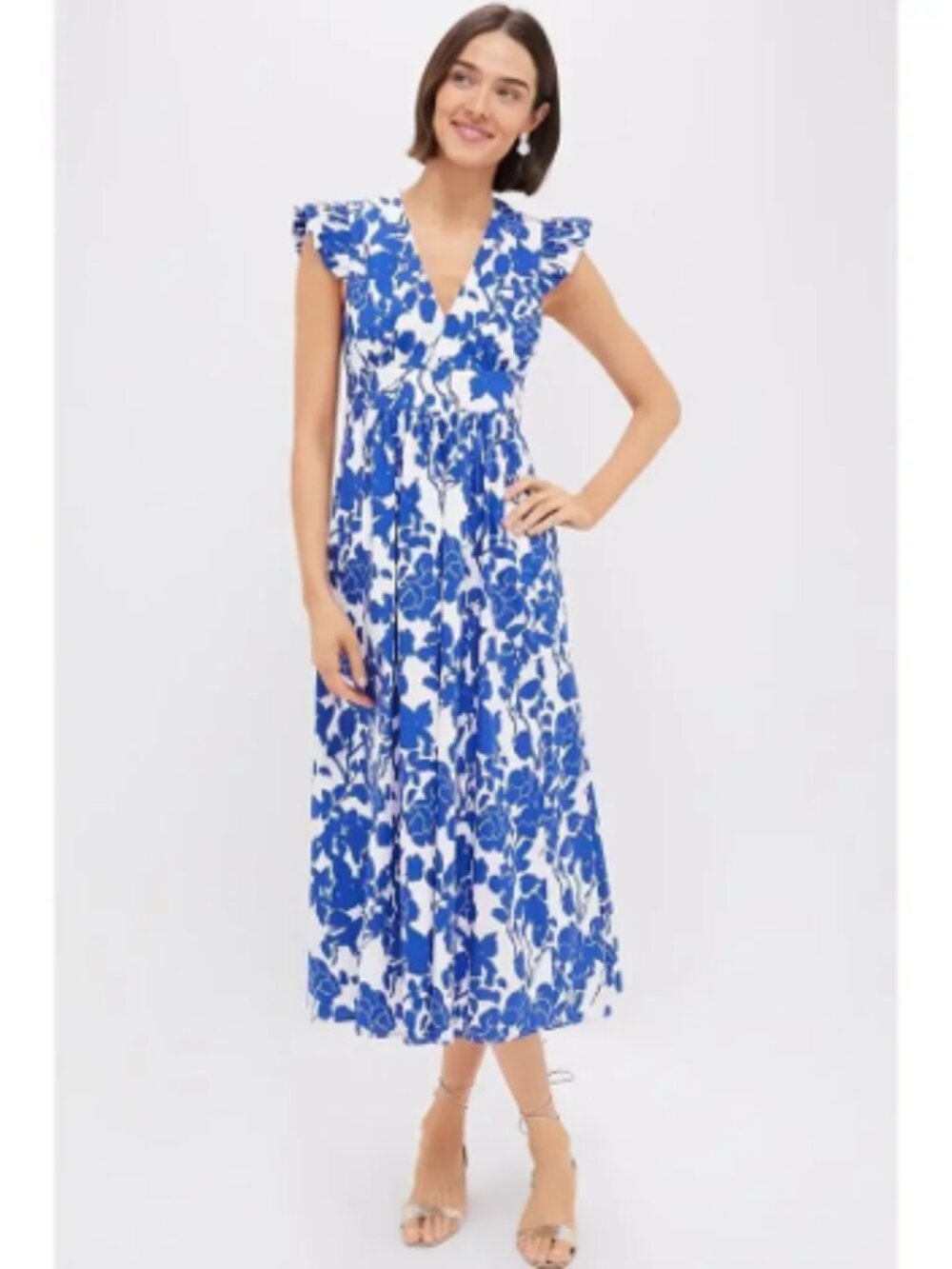 Hyacinth House / Tuckernuck Ruffle Sleeve Robinson Dress Blue & White Floral NWT